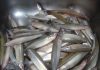 Prova de Pesca