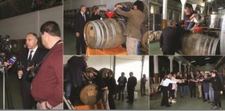 Produtores do Pico criam Vinho Comemorativo da Cidade do Vinho