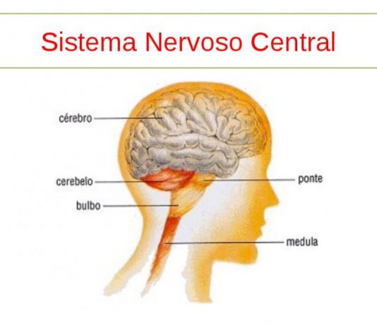 Fundação Rui Osório de Castro lança segundo vídeo animado e educativo sobre tipos de cancro intitulado “Os tumores do Sistema Nervoso Central”
