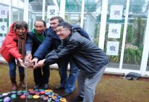 Diospireiro nascido em Nagasaki – Japão plantado Jardim Botânico do Faial TI/SG