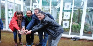 Diospireiro nascido em Nagasaki – Japão plantado Jardim Botânico do Faial TI/SG