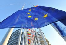 Parlamento Europeu defende criação de fundo específico para as pescas nas regiões ultraperiféricas