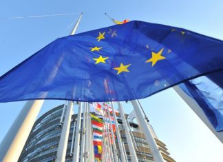 Parlamento Europeu defende criação de fundo específico para as pescas nas regiões ultraperiféricas