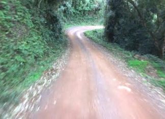 Governo dos Açores investe mais de 680 mil euros em caminho rural na ilha do Pico