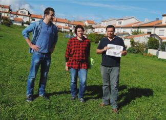 PAN quer criar hortas na Horta