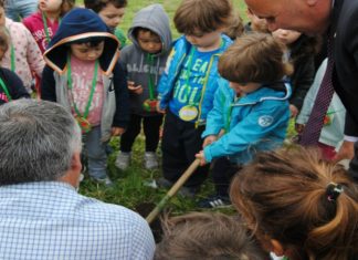 Projeto municipal “O Quintal” aposta na plantação de ervas aromáticas TI/SG