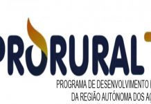 Aberto período de candidaturas para apoios ao investimento agrícola e instalação de jovens agricultores DR