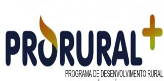Aberto período de candidaturas para apoios ao investimento agrícola e instalação de jovens agricultores DR