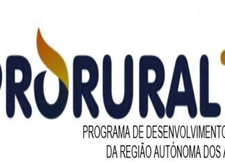 Aberto período de candidaturas para apoios ao investimento agrícola e instalação de jovens agricultores DR