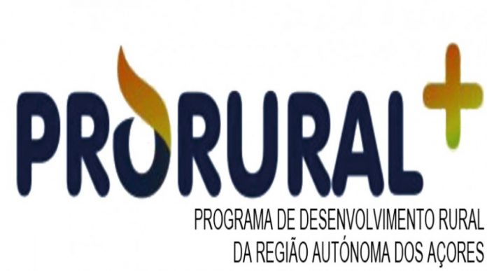 DR DR
