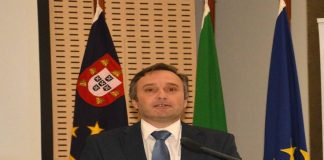 Investimentos no Porto da Horta “visaram melhorar a operacionalidade” DR