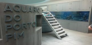 Aquário Porto Pim participa em campanha global contra o lixo marinho DR/Notícias dos Açores blogspot