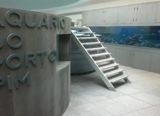 Aquário Porto Pim participa em campanha global contra o lixo marinho DR/Notícias dos Açores blogspot