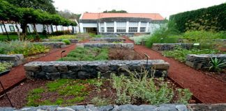 Faial presente no 6.º Congresso Global de Jardins Botânicos, em Genebra DR