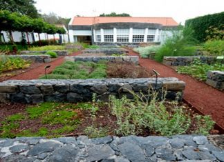 Faial presente no 6.º Congresso Global de Jardins Botânicos, em Genebra DR