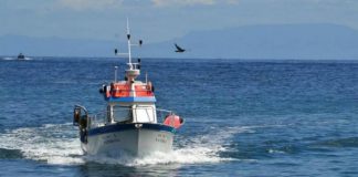 Implementadas portarias para o Desenvolvimento Local de Base Comunitária para as Pescas nos Açores DR