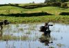 Turismo dos Açores premiado na Feira BirdFair DR