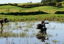 Turismo dos Açores premiado na Feira BirdFair DR