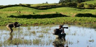 Turismo dos Açores premiado na Feira BirdFair DR