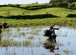 Turismo dos Açores premiado na Feira BirdFair DR