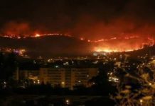 55 bombeiros açorianos vão ajudar no combate aos incêndios no continente DR