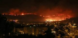 55 bombeiros açorianos vão ajudar no combate aos incêndios no continente DR