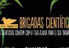 OMA volta a promover programa Brigadas Científicas “Ciência Cidadã” DR