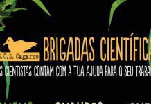 OMA volta a promover programa Brigadas Científicas “Ciência Cidadã” DR