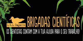 OMA volta a promover programa Brigadas Científicas “Ciência Cidadã” DR