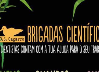 OMA volta a promover programa Brigadas Científicas “Ciência Cidadã” DR