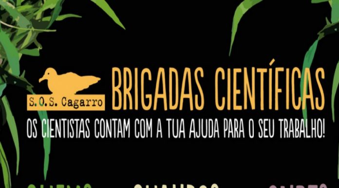 DR DR