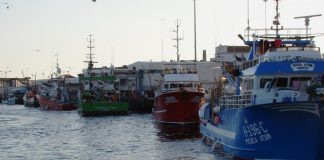 Sistema de Abastecimento de Gasóleo às Pescas estende-se às viaturas de apoio DR