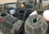Alterada regulamentação de pesca por armadilha nos Açores DR