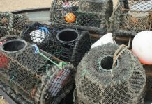 Alterada regulamentação de pesca por armadilha nos Açores DR