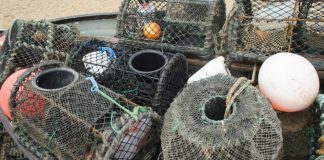 Alterada regulamentação de pesca por armadilha nos Açores DR
