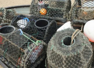 Alterada regulamentação de pesca por armadilha nos Açores DR