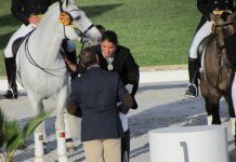 Cavaleira faialense Sofia Melo vice-campeã nacional de juniores DR