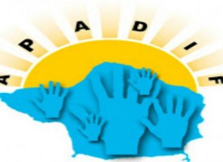 APADIF promove workshop animar para educar DR