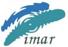 IMAR vai encerrar no inicio do próximo ano DR