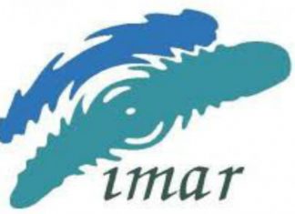 IMAR vai encerrar no inicio do próximo ano DR