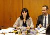 Processo de abertura a capitais privados da Azores Airlines está em curso DR