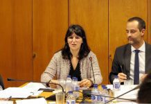 Processo de abertura a capitais privados da Azores Airlines está em curso DR