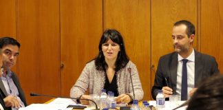 Processo de abertura a capitais privados da Azores Airlines está em curso DR