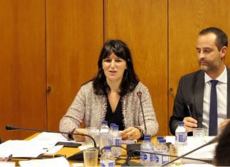 Processo de abertura a capitais privados da Azores Airlines está em curso DR