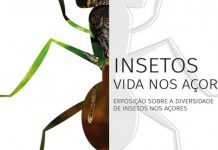 Exposição “Insetos – Vida nos Açores” no Faial DR