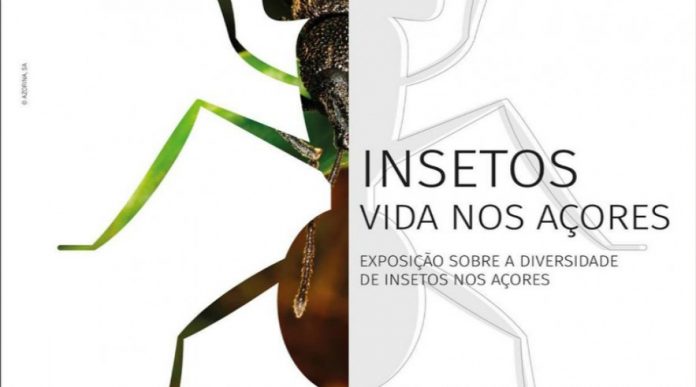 DR DR
