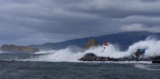 Portos dos Açores adjudica reparação do molhe-cais do Porto da Madalena DR