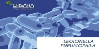 Guia informativo sobre Legionella nos sistemas de abastecimento da água está disponível online DR