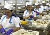 COFACO promove despedimento coletivo no Pico DR