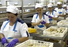 COFACO promove despedimento coletivo no Pico DR